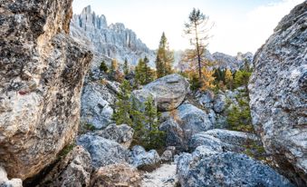 roterrucksack-7